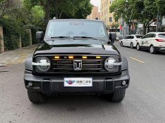Tank 300 2025 2.0T Gasoline Conqueror - ფოტო 2