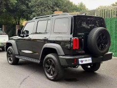 Tank 300 2025 2.0T Gasoline Conqueror - ფოტო 4