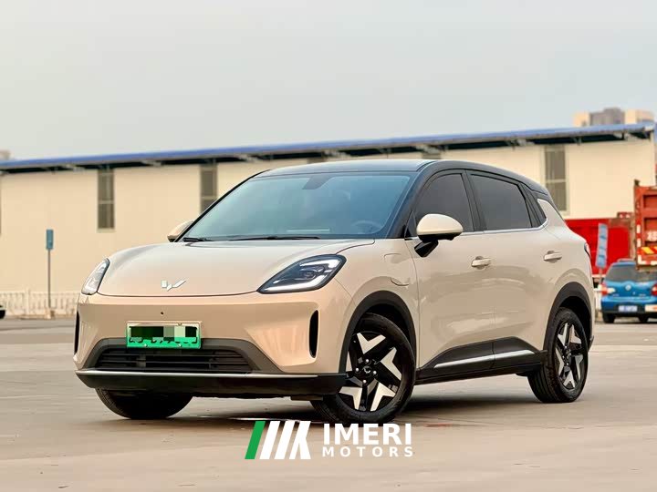 Wuling Bingo S 430km Flagship
