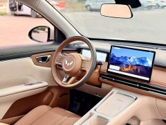 Wuling Bingo S 430km Flagship - ფოტო 7