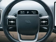 Li Auto L8 Pro - ფოტო 13