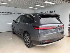 Denza BYD Denza N9 Flagship - ფოტო 7