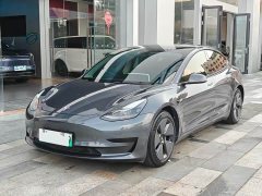 Tesla Model 3 Standard Range RWD Upgrade - ფოტო 5