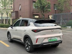 Wuling Bingo S 325km Flagship - ფოტო 7