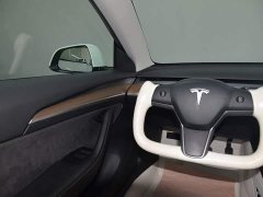 Tesla Model 3 Standard Range RWD Upgrade - ფოტო 15