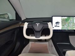 Tesla Model 3 Standard Range RWD Upgrade - ფოტო 16