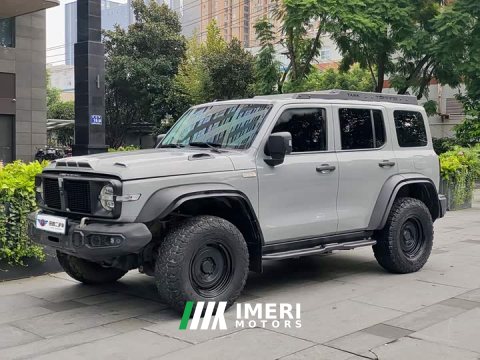 2022 Tank 300 2021 2.0T Wind Forest Iron Cavalry - ავტომობილი ჩინეთიდან