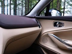 Aston Martin DBX 2021 4.0T V8 Return to Simplicity - ფოტო 12
