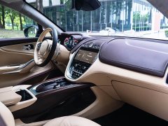 Aston Martin DBX 2021 4.0T V8 Return to Simplicity - ფოტო 18