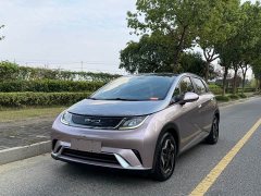 BYD Dolphin 405km Fashion Edition - ფოტო 1