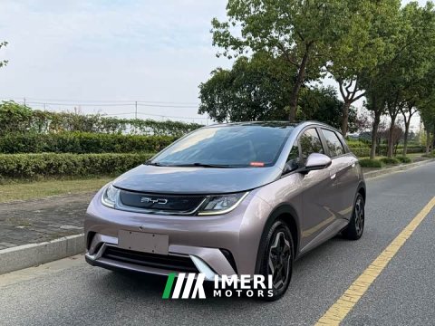 2022 BYD Dolphin 405km Fashion Edition - ავტომობილი ჩინეთიდან