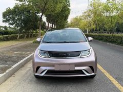 BYD Dolphin 405km Fashion Edition - ფოტო 2