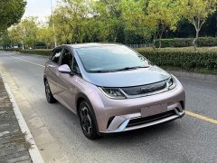 BYD Dolphin 405km Fashion Edition - ფოტო 3