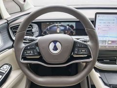 Denza BYD Denza D9 DM-i 980 Four-Wheel Drive Flagship - ფოტო 9