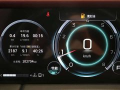 GAC Aion M8 Master Series 400T Flagship - ფოტო 13