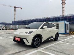 BYD Seagull Vitality Edition - ფოტო 1