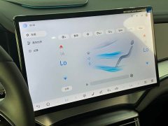 BYD Dolphin 07 DM-i 2025 DM-i 1.5L 125km Luxury - ფოტო 18