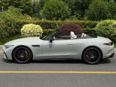 Mercedes-Benz Mercedes-AMG SL 63 4MATIC 2024 - ფოტო 4