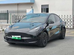 Tesla Model Y 2022 Rear-Wheel Drive - ფოტო 1