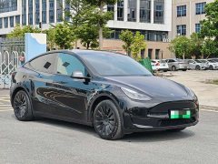 Tesla Model Y 2022 Rear-Wheel Drive - ფოტო 3