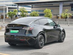 Tesla Model Y 2022 Rear-Wheel Drive - ფოტო 4
