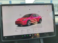 Tesla Model Y 2022 Rear-Wheel Drive - ფოტო 8