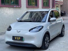 Wuling Binguo 333km Joy Edition - ფოტო 1