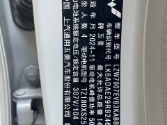 Wuling Binguo 333km Joy Edition - ფოტო 13