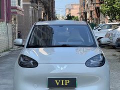 Wuling Binguo 333km Joy Edition - ფოტო 2