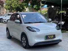Wuling Binguo 333km Joy Edition - ფოტო 3