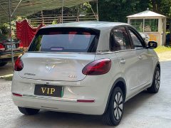 Wuling Binguo 333km Joy Edition - ფოტო 7