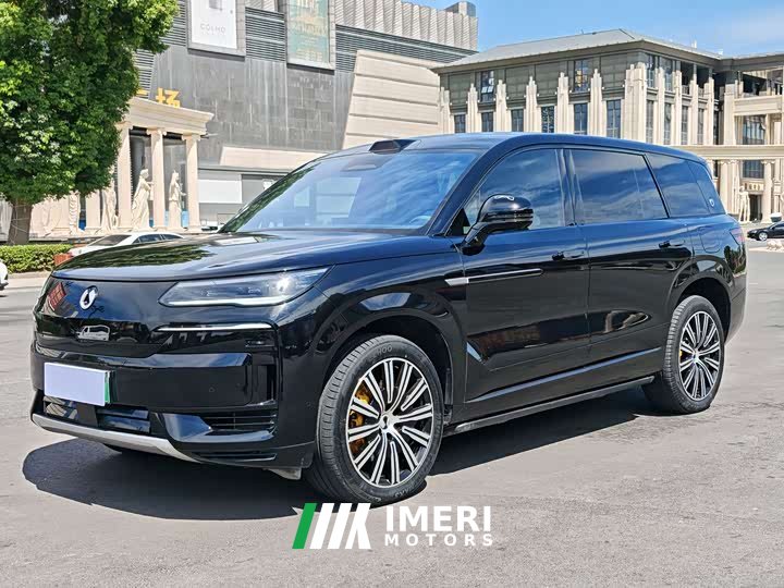 Denza BYD Denza N9 Premium Edition - ავტომობილი ჩინეთიდან