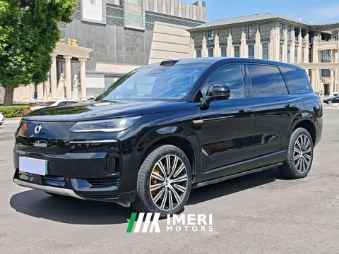 2025 Denza BYD Denza N9 Premium Edition - ავტომობილი ჩინეთიდან