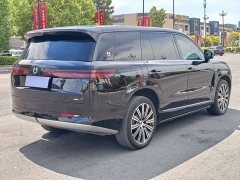 Denza BYD Denza N9 Premium Edition - ფოტო 9