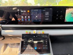 Voyah Lantu Zhuiguang PHEV AWD Extended Range Executive - ფოტო 9