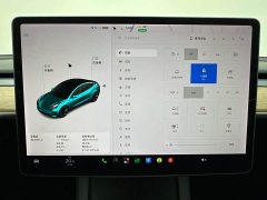 Tesla Model 3 Facelift Standard Range RWD Upgrade 3D1 - ფოტო 10