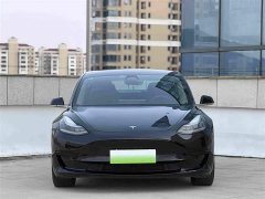 Tesla Model 3 2020 Facelift Standard Range RWD Upgrade - ფოტო 2