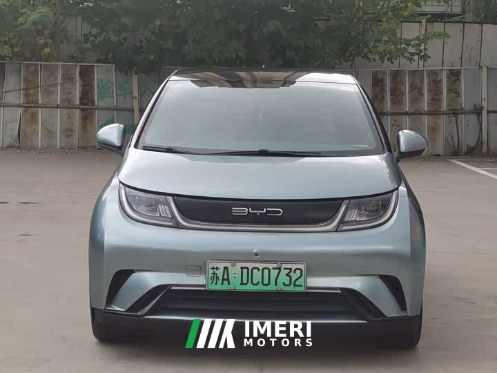 BYD Dolphin 405km Freedom Edition - ავტომობილი ჩინეთიდან