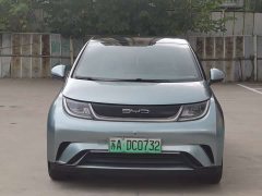 BYD Dolphin 405km Freedom Edition - ფოტო 1