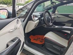 BYD Dolphin 405km Freedom Edition - ფოტო 12
