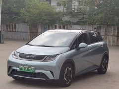 BYD Dolphin 405km Freedom Edition - ფოტო 2