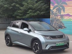 BYD Dolphin 405km Freedom Edition - ფოტო 3