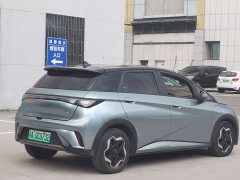 BYD Dolphin 405km Freedom Edition - ფოტო 4