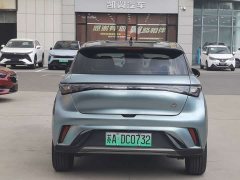 BYD Dolphin 405km Freedom Edition - ფოტო 5
