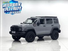 Tank 300 Off-Road Edition 2.0T Conqueror - ფოტო 1