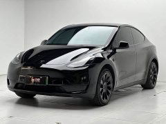 Tesla Model Y Rear-Wheel Drive - ფოტო 1