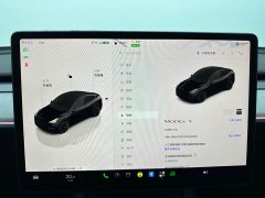 Tesla Model Y Rear-Wheel Drive - ფოტო 18