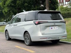 Buick GL8 New Energy Lusang Respect Edition - ფოტო 4