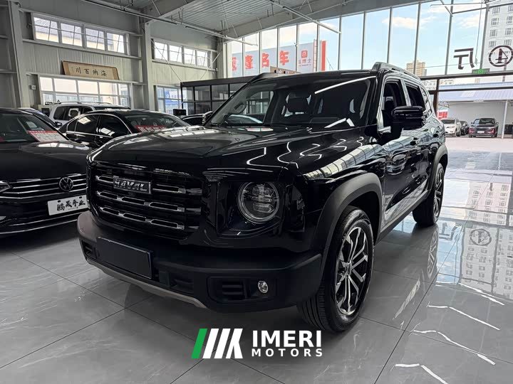 Great Wall Dachshund 1.5T DCT Two-Wheel Drive Border Collie Edition - ავტომობილი ჩინეთიდან