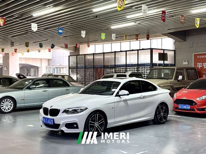 BMW 2 Series (Imported) 225i Luxury M Sport Package